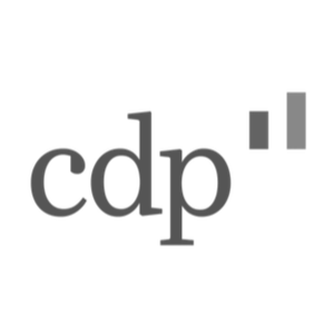 Cassa Depositi e Prestiti
